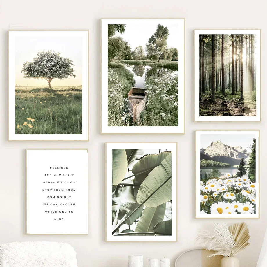 Frameless Nature Mountain Dais - đánh giá và giá Wall Texture Spray