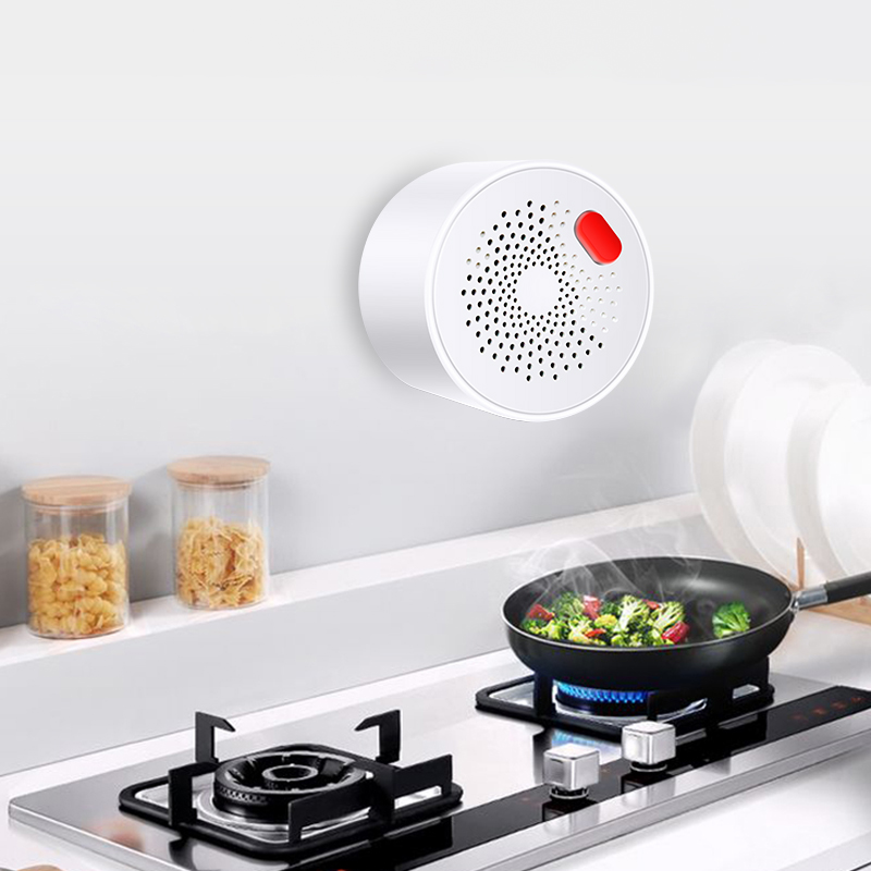 Tuya Smart Home Wifi Natural G - đánh giá và giá Home Improvement And Hardware