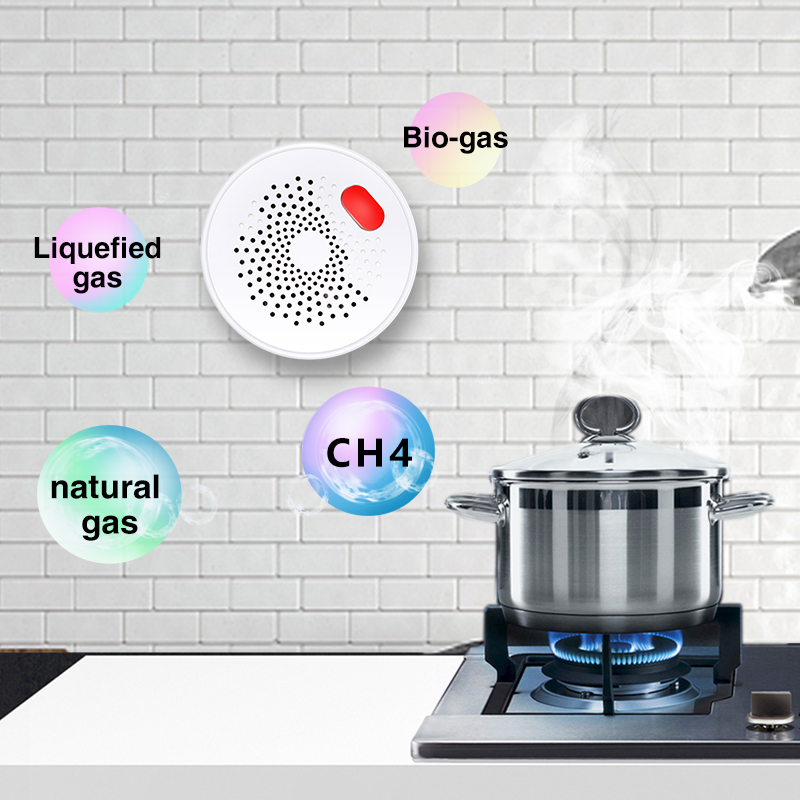 Tuya Smart Home Wifi Natural G - đánh giá và giá Home Improvement And Hardware